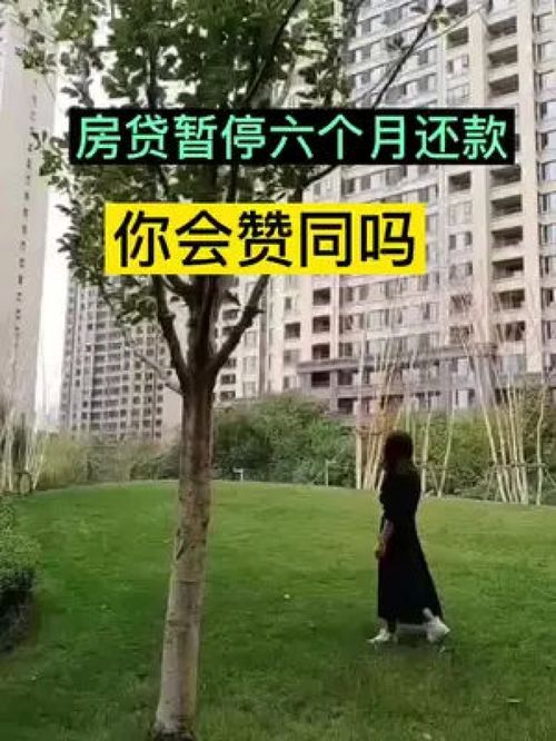 買(mǎi)房那些事 最新消息 房產(chǎn)知識(shí)分享 干貨分享 房產(chǎn)咨詢(xún) 分享房產(chǎn)知識(shí)
